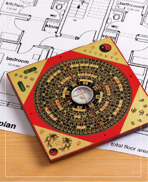 Zi Wei Dou Shu (Ba Zi) Reading by Master HONG YUN - 图片 2